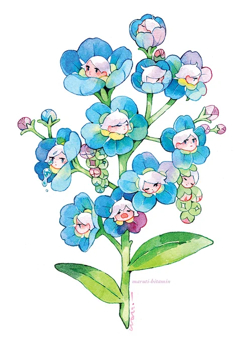 bloom 