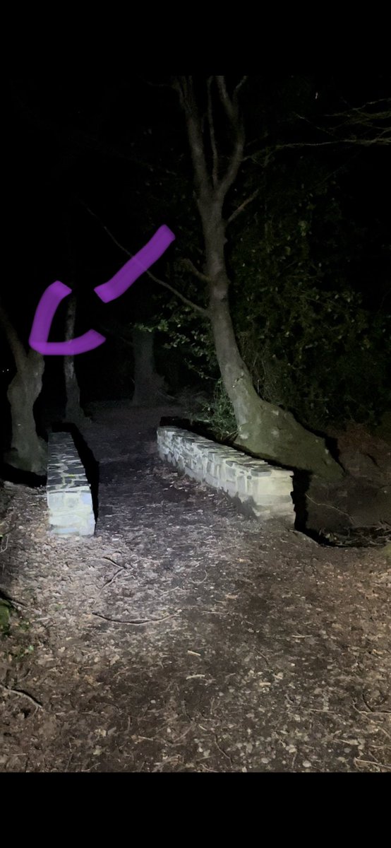 kjhauntings's tweet photo. π³ no wonder we felt watched! Ep2 out 1st May! #creepy #hauntedwoods #beyondafraid https://t.co/RvzKtkuDil