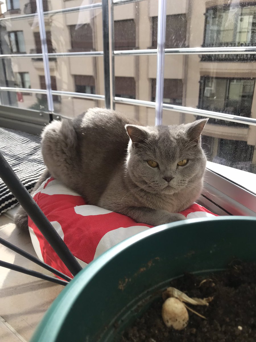 Güneçlenme sesonumusu aşdık