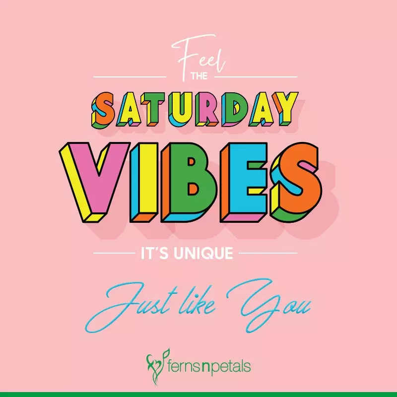 NovusOmniGuild's tweet photo. Stuck between Friday and Sunday? Saturday has the best of both days.

#NOGtothemoon
#GOODVIBESSATURDAY
#NFTs 
#Web3 
#P2Egaming
#axieinfinityscholarship 
#PegaxyScholarship https://t.co/lQLTmd0hfs