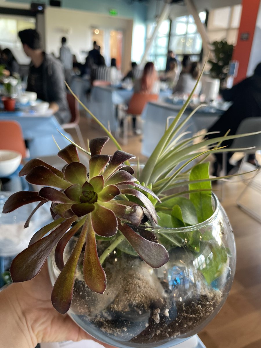 Happy earth day! Webuilt our first Terrarium together at Twitter San Jose.