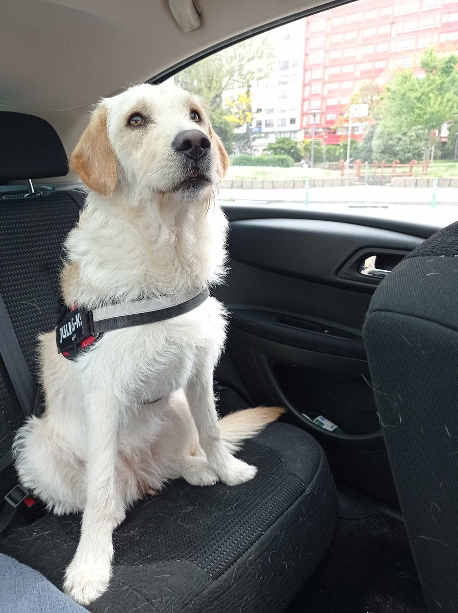 MikeCrossing_'s tweet photo. Nos vamos a pasar el finde a Camariñas🤠 https://t.co/ob6IPqguz9