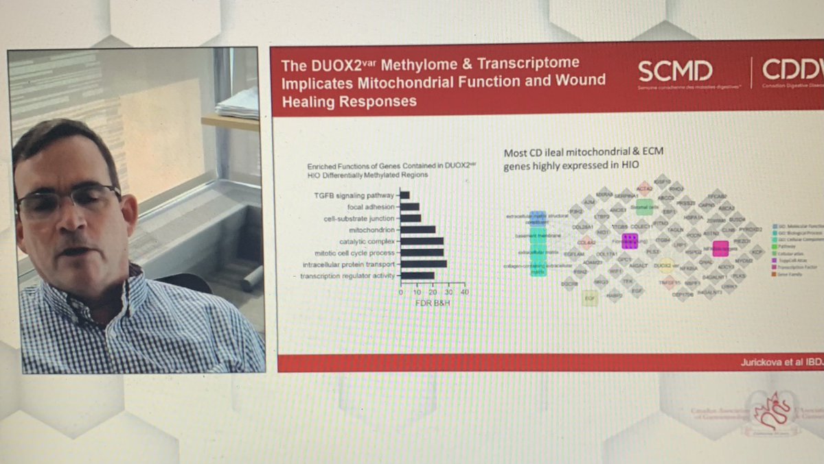 #CDDW2022 <a href="/CanGastroAssn/">CAG</a> Dr. Ted Denson giving a tour de force Hinda Kopelman Memorial Lecture of his program’s exciting IBD research- from patients to organoid models to novel therapeutics