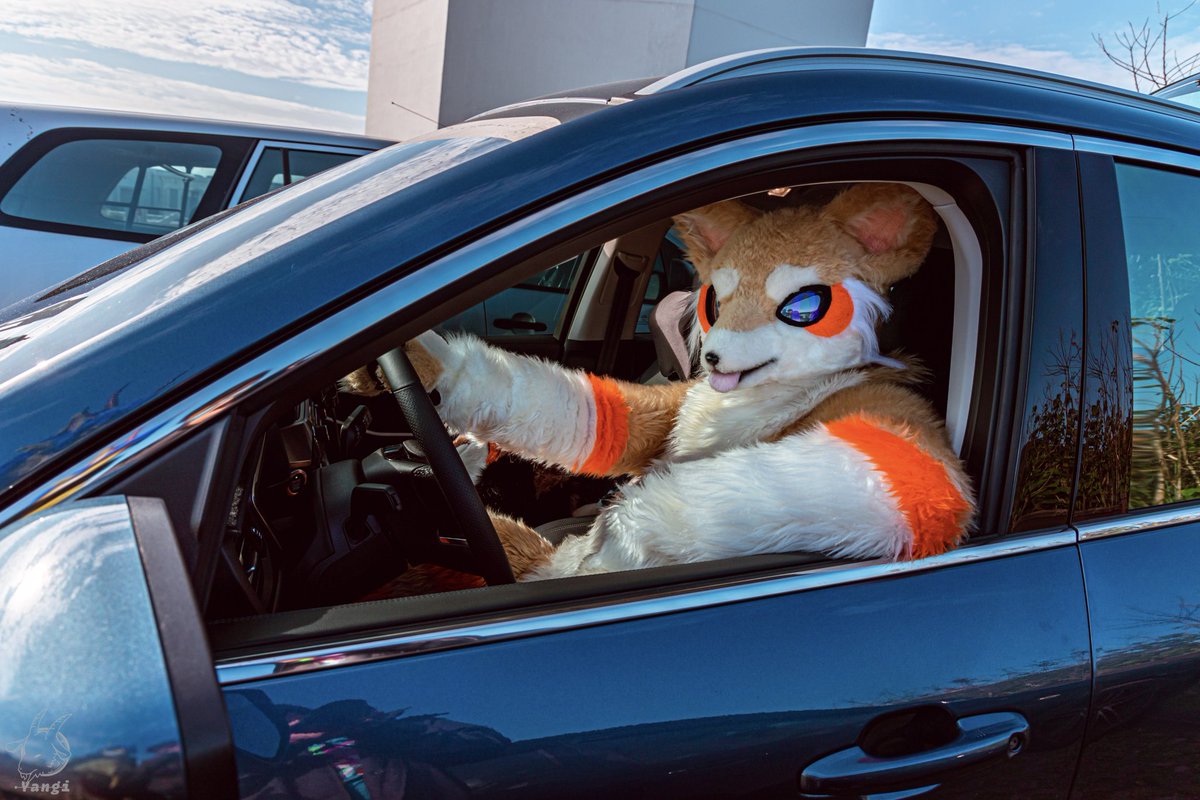 フィー(給給)🇹🇼 w/🦊モンブラン＆Cuco tweet media