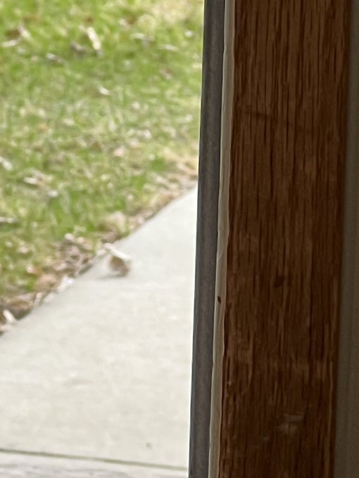 I&rsquo;m so damn bored I am sitting here watching the leaves blow around. Distract me. https://t.co/eRnak<a href="/tag/bbw"class="tags"><span>#bbw</span></a>