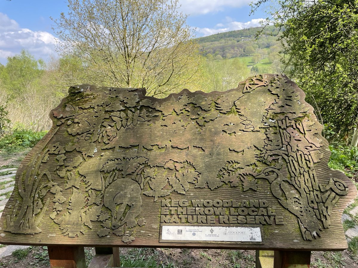 DrP_Manc's tweet photo. Keg Wood, Etherow
#KegWood 🌸
#KegPool 🦆
#Etherow 🌼
#Stockport 🌳 https://t.co/KJJjmr8OE1