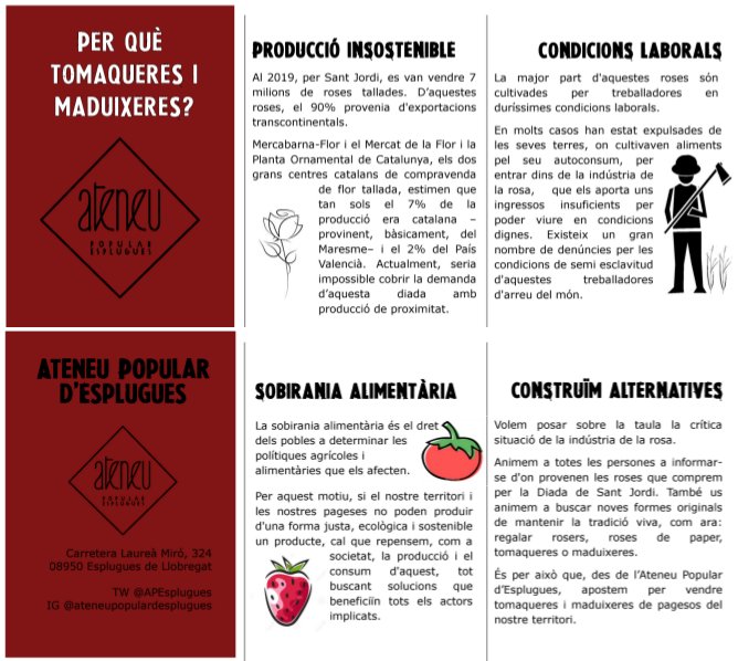 A la paradeta de l'<a href="/APEsplugues/">Ateneu Popular d'Esplugues</a> #Esplugues, hi trobareu una interessant selecció de llibres i, en comptes de roses, tomaqueres i maduixeres de proximitat! #SantJordi #DiadaSantJordi
Les tomaqueres són de tomàquet mandó, autòcton de #Collserola!
Aquí us expliquem el per què! ↓