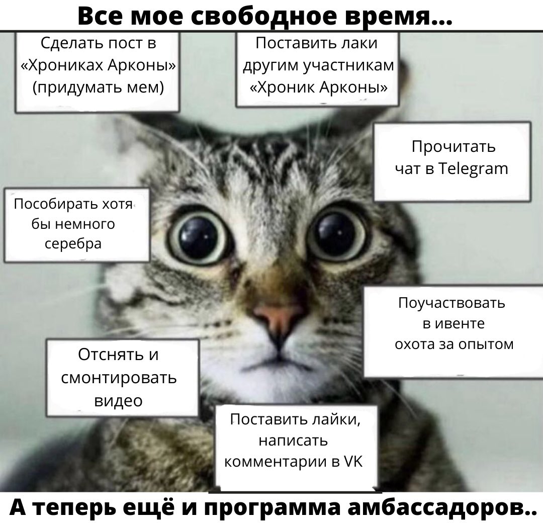 #Arcona #metaverse #AugmentedReality #meme