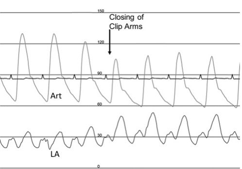 Mack Eleid tweet media