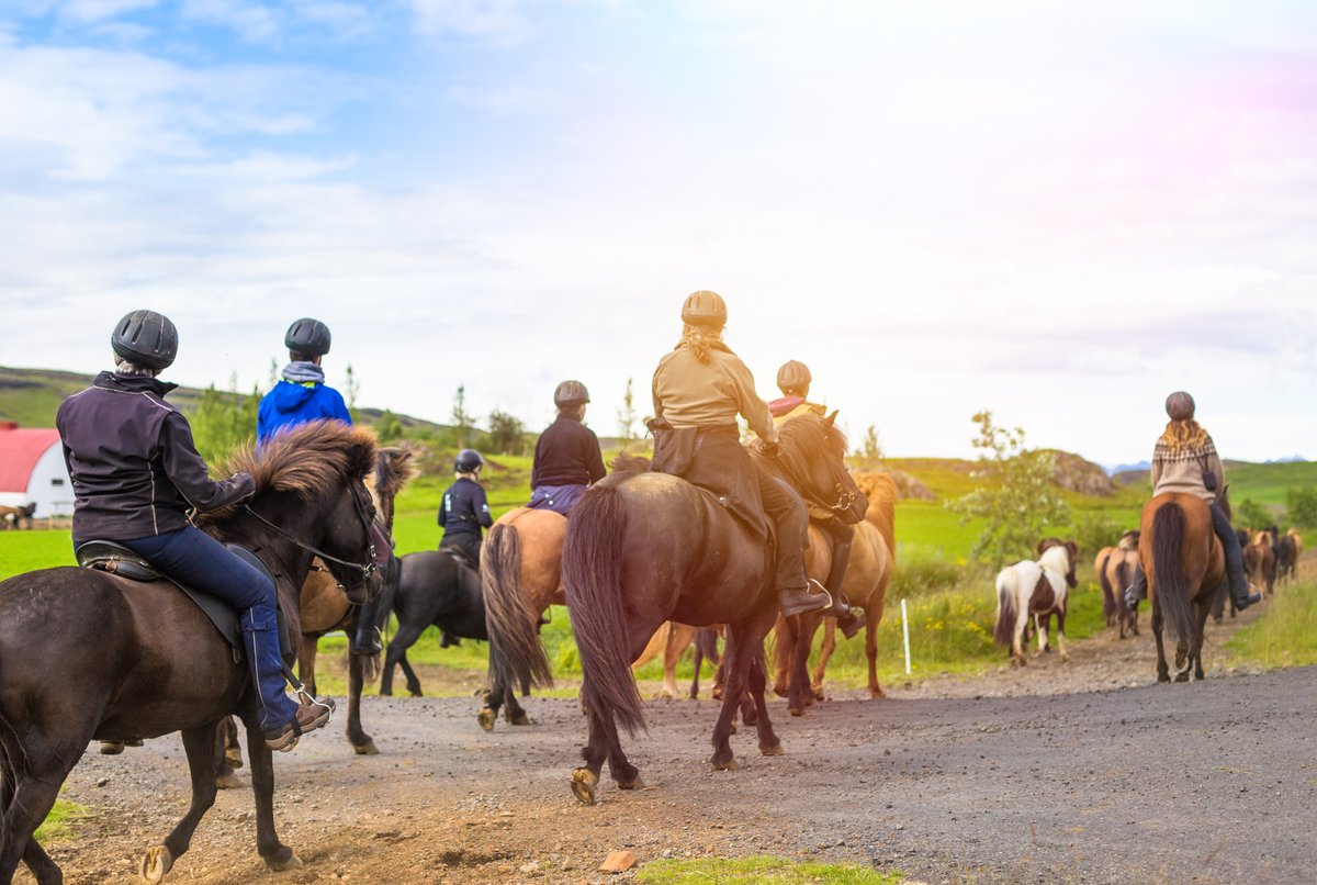 1stExchange's tweet photo. Bushmanโs Nek is the perfect getaway, to reset after a long day of the city life. Itโs the ideal Berg experience for a romantic holiday, family trip or even a friends road trip.
Book here: https://t.co/GditVfQTTn
#firstexchange #holiday #travel https://t.co/ZLrWSDUEjq