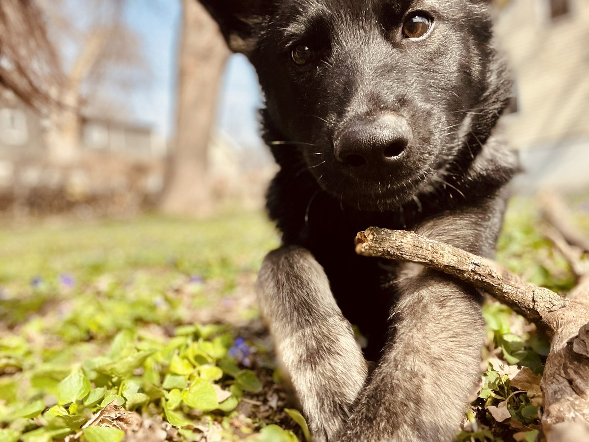 longingalways's tweet image. A play in three acts, my perfect gentle, ferocious lil scorp ✨😪