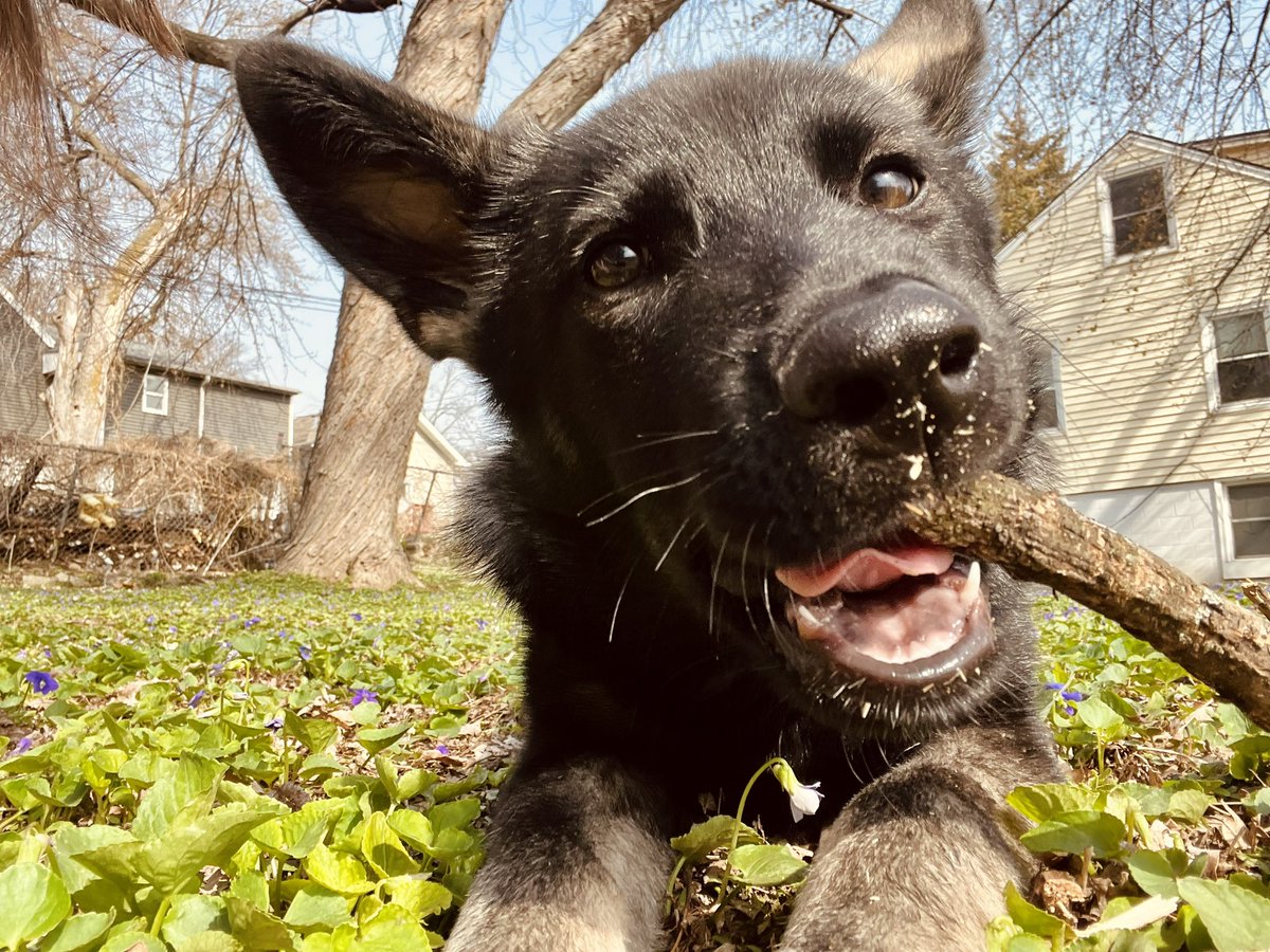 longingalways's tweet image. A play in three acts, my perfect gentle, ferocious lil scorp ✨😪