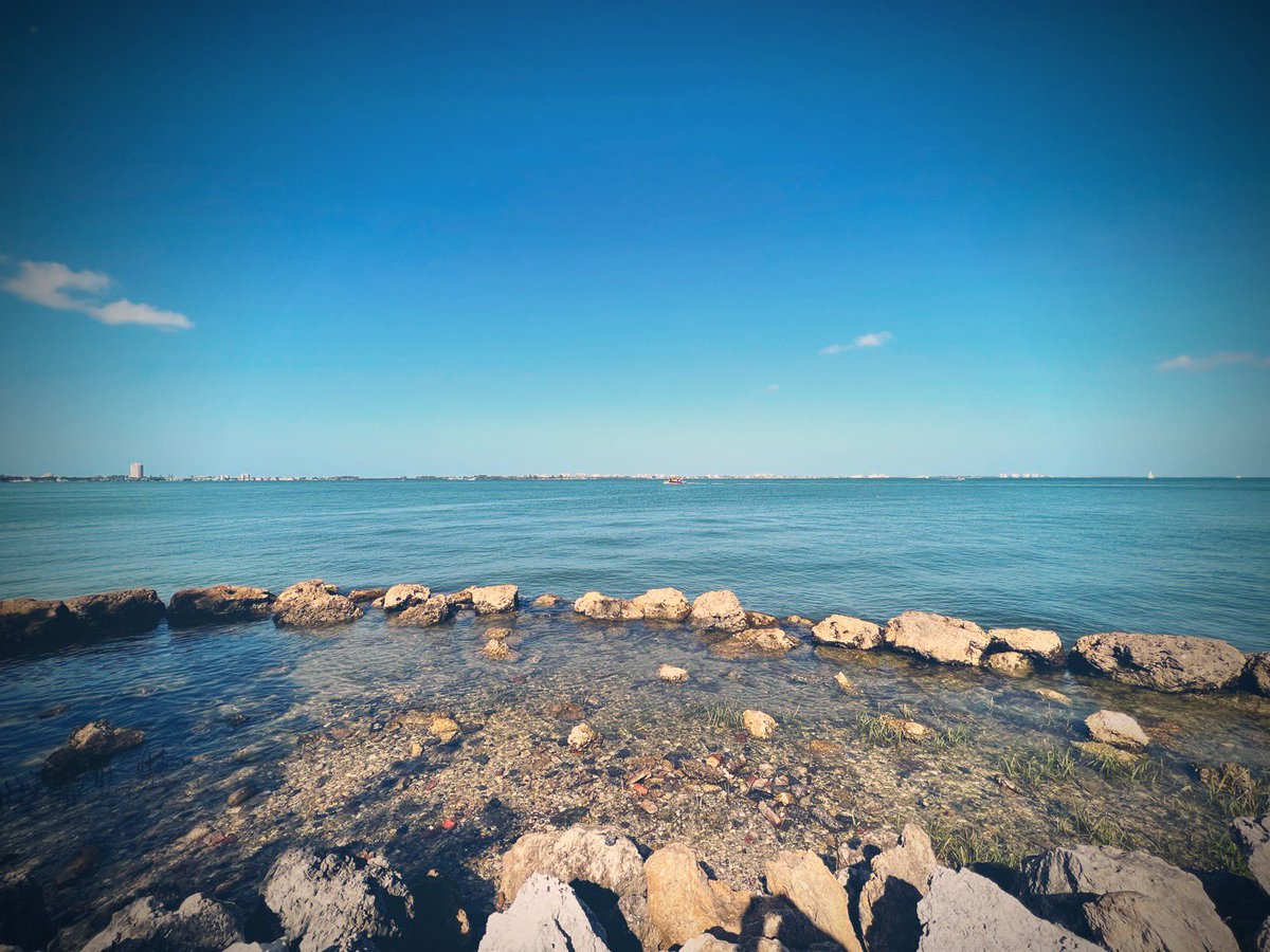bobbydevito's tweet photo. Bayfront looking sparkling today behind the glorious @vanwezel performing arts center in Sarasota 🌊
#sarasota #vanwezel #bayfront @mysuncoast @VisitSarasota https://t.co/gtOPl26L6O