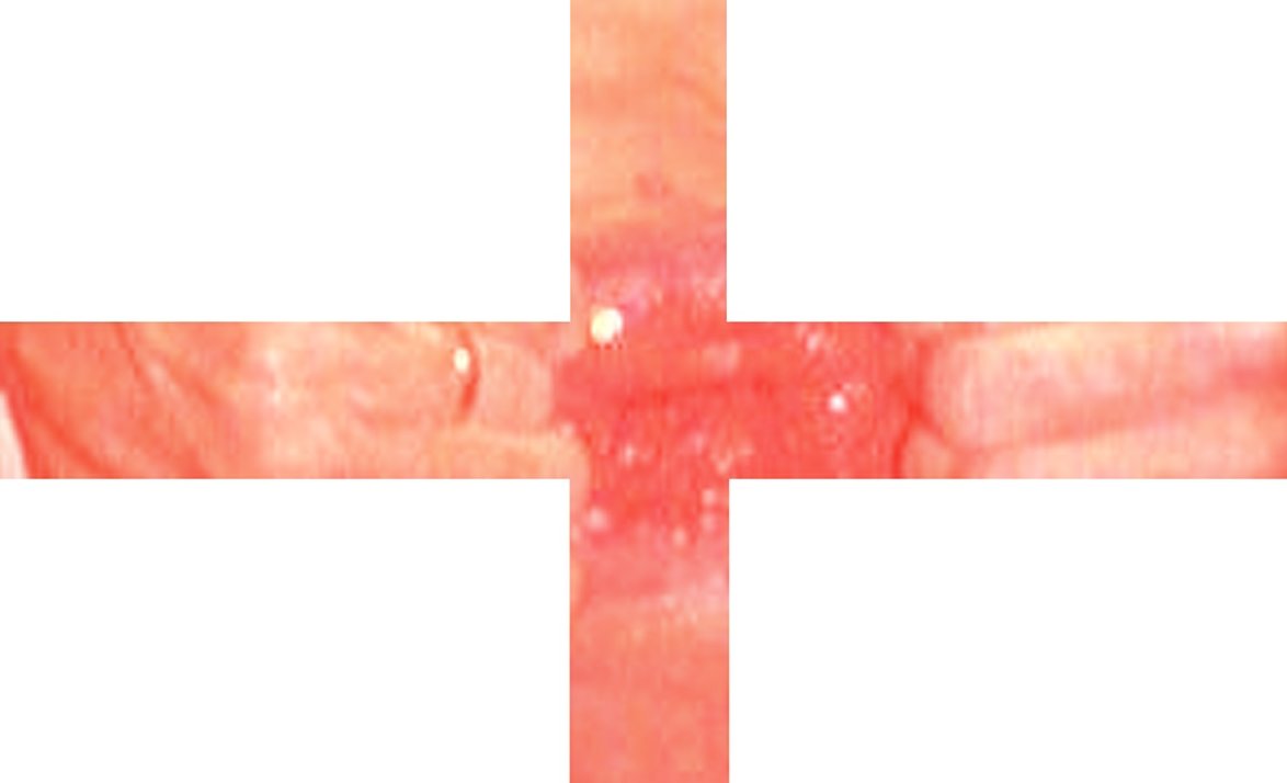 evilhornypingu's tweet photo. merry saint goatse day https://t.co/YM84YCGwDk
