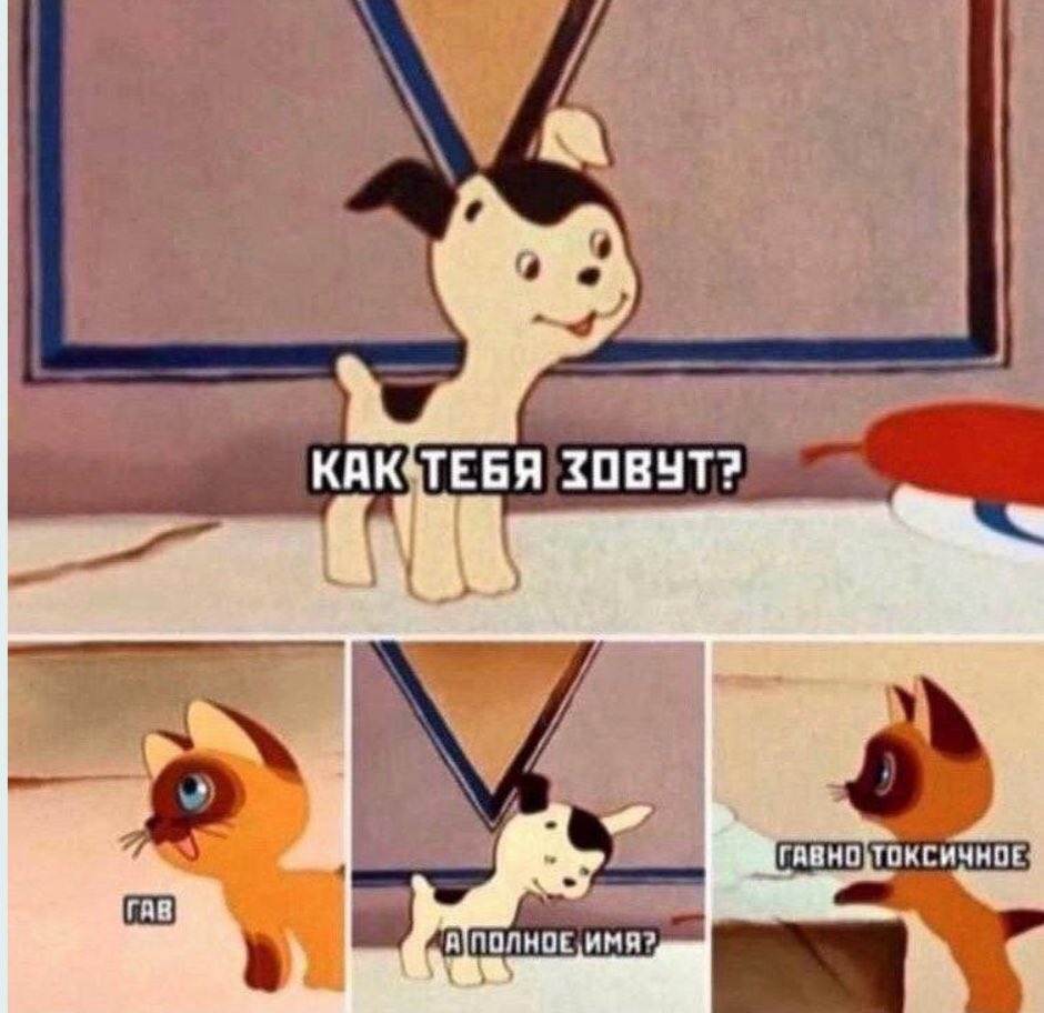 Коротко о кошачьем))