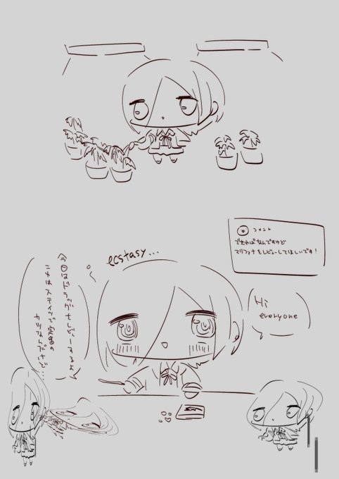 ガンギマッテイラー 