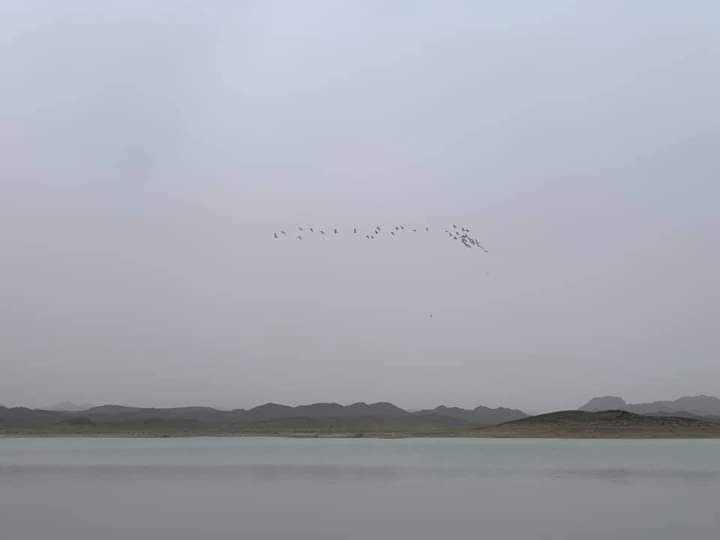 Muneeba45's tweet photo. Kashi Dam of Kharan located on Dastken river.
A perfect place for summers.
#Khushalbalochistan
#ZaibaeBalochistan https://t.co/z1x5YmbXL1