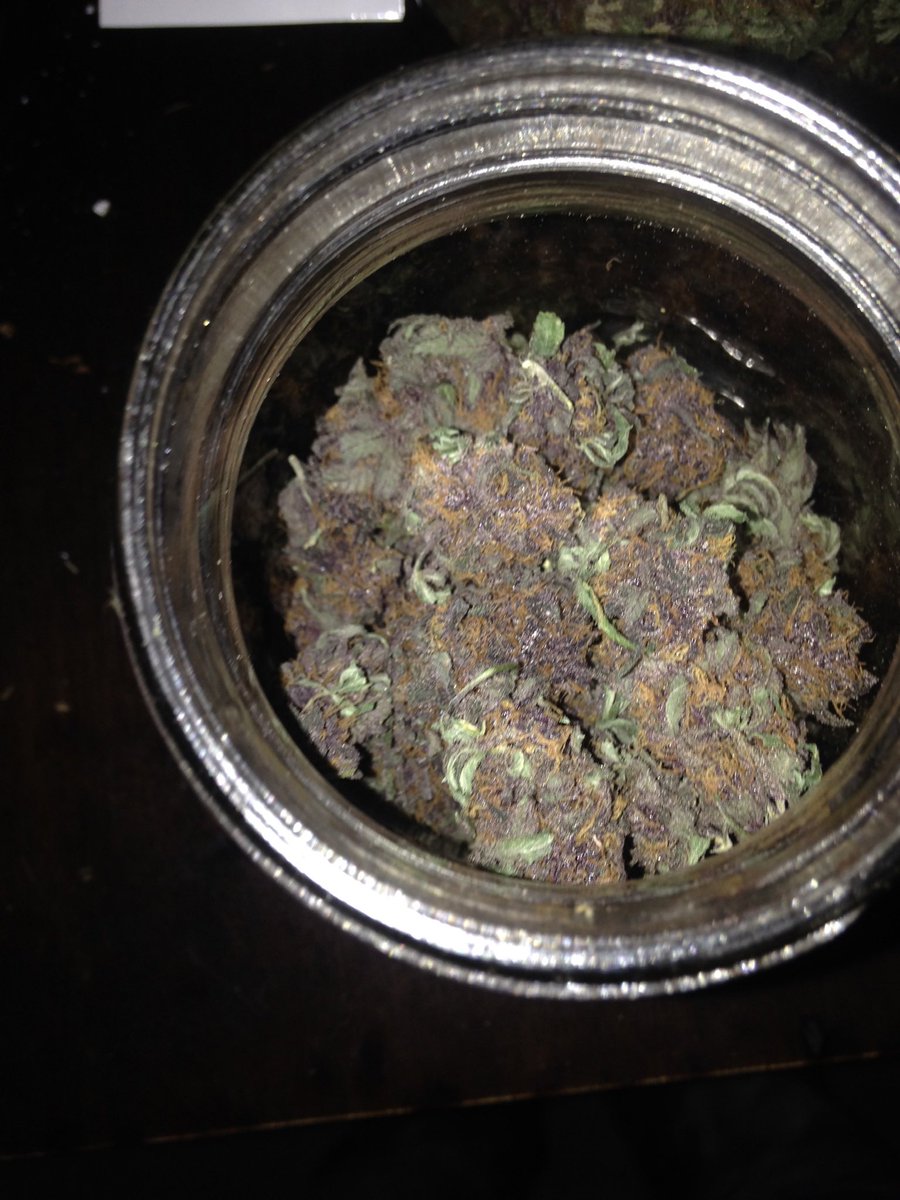 LouisianaGas's tweet photo. My First Grow back in 2015. I’ve came a long way. 🌱 https://t.co/AAqgs5jNa2