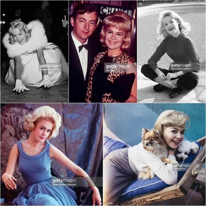 barbaravitali2's tweet photo. Remembering #SandraDee April 23,1942_February 20,2005 (Age 62) #ASummerPlace #TheRestlessYears #BobbyDarin https://t.co/1xWKfkqxxp