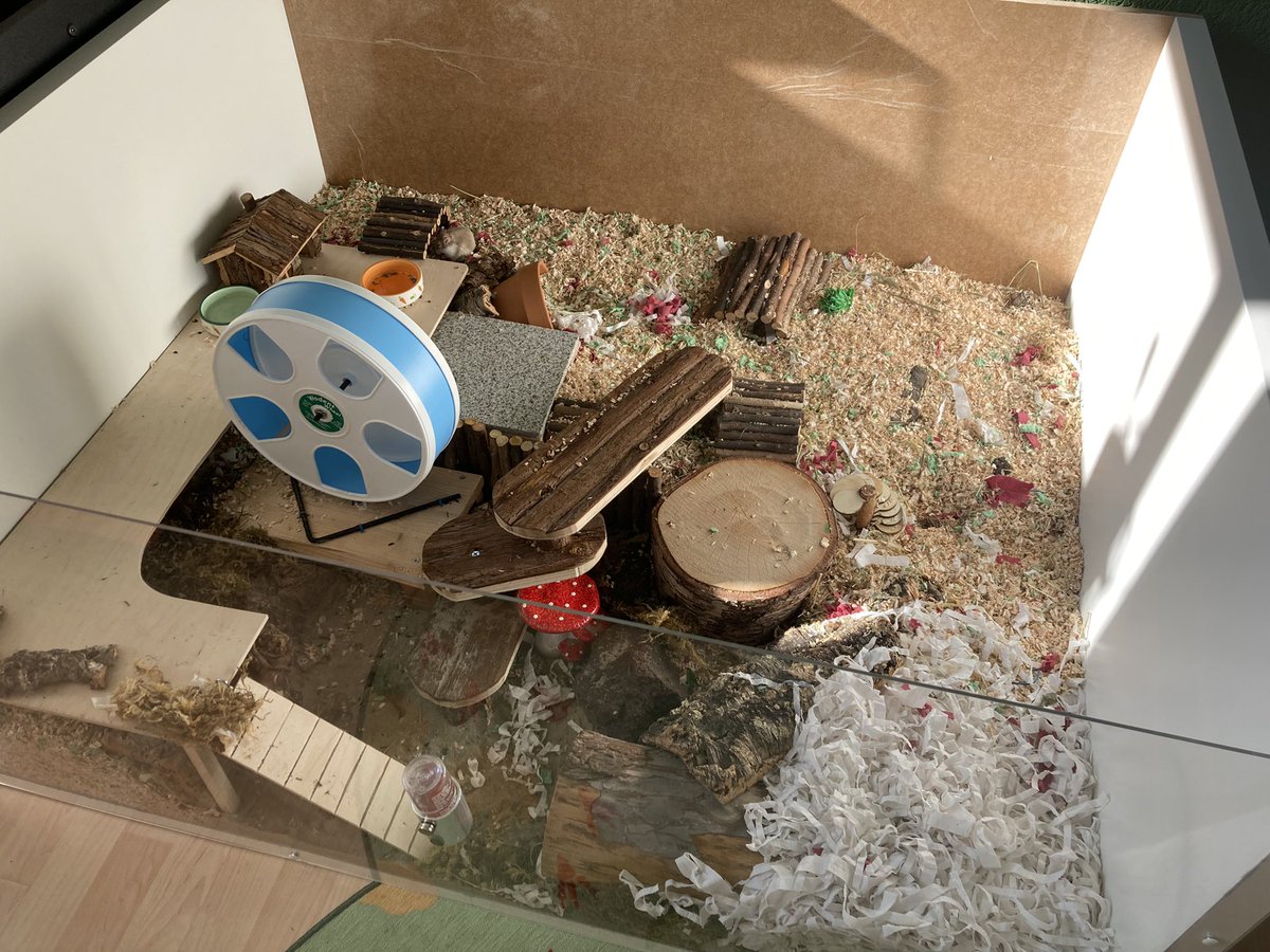 🌼 bug emperor 🐝 tweet media