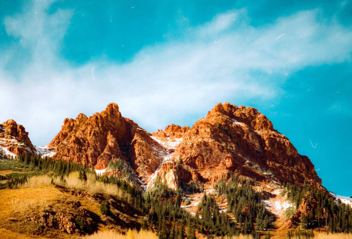 the film          vs          the photos