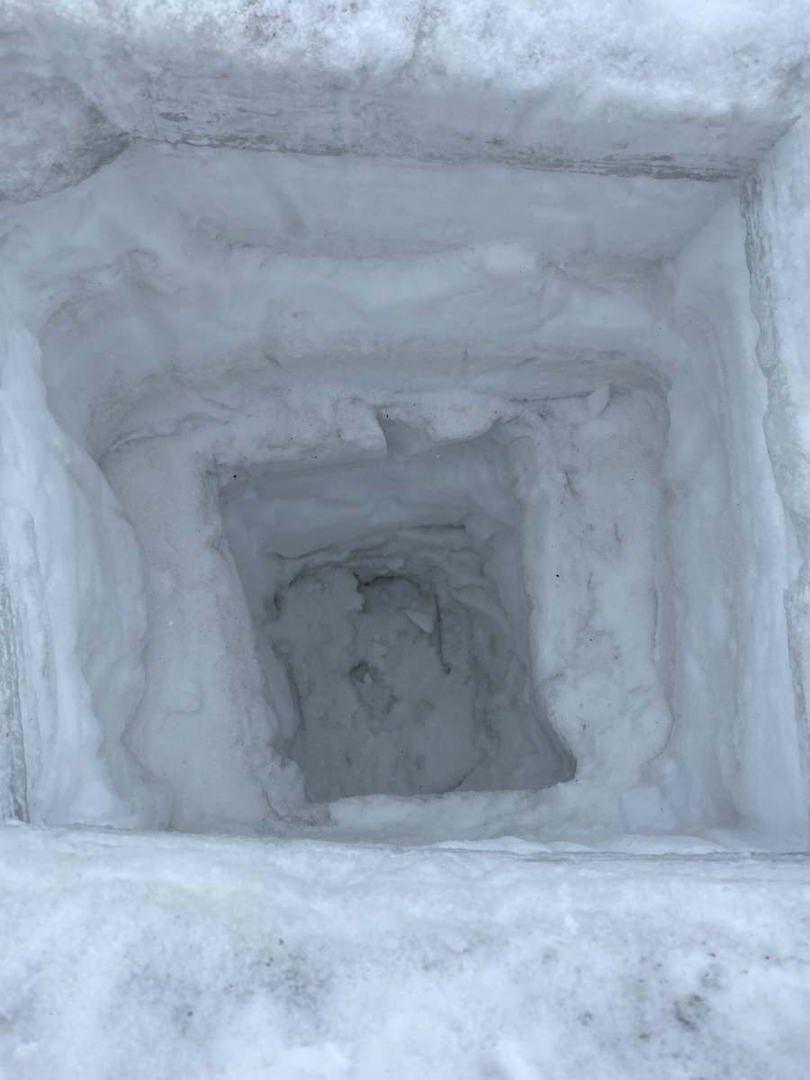 Robyn Barbato tweet media