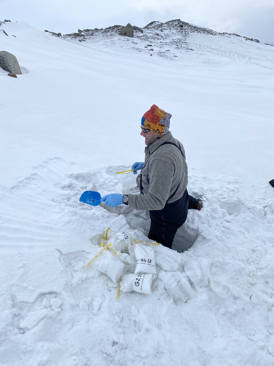 Robyn Barbato tweet media