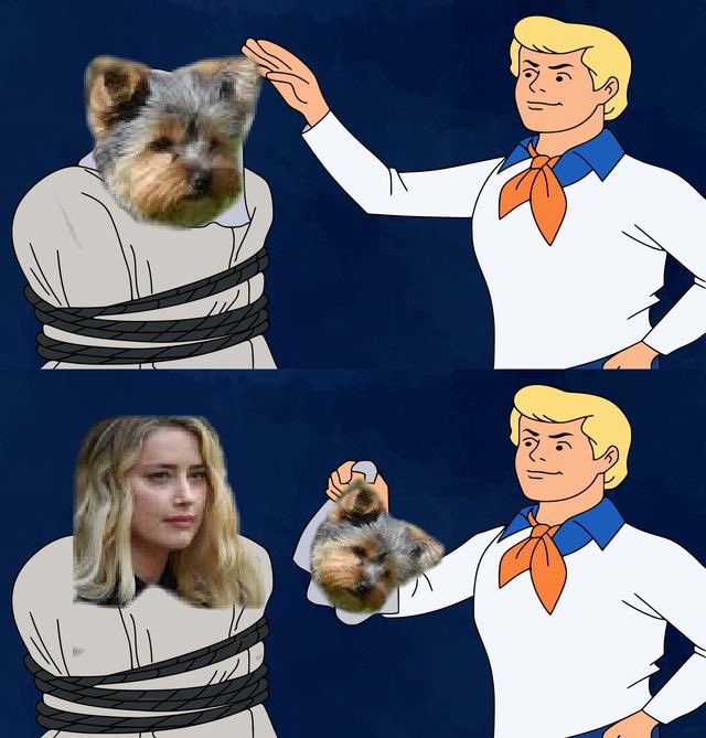 muhsheddy's tweet photo. Teacup Yorkies blamed. Who really poo’ed the bed? AMBER HEARD!?! #mepoo #AmberTurd #JusticeForJohhnyDepp https://t.co/58QruzDlNF