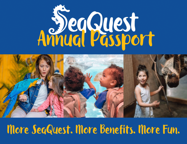 BID WHILE YOU CAN! Auction closes on Tuesday! - mailchi.mp/71caae6fcdd4/a… Place your bids now for vacation deals, dining, entertainment and unique items.