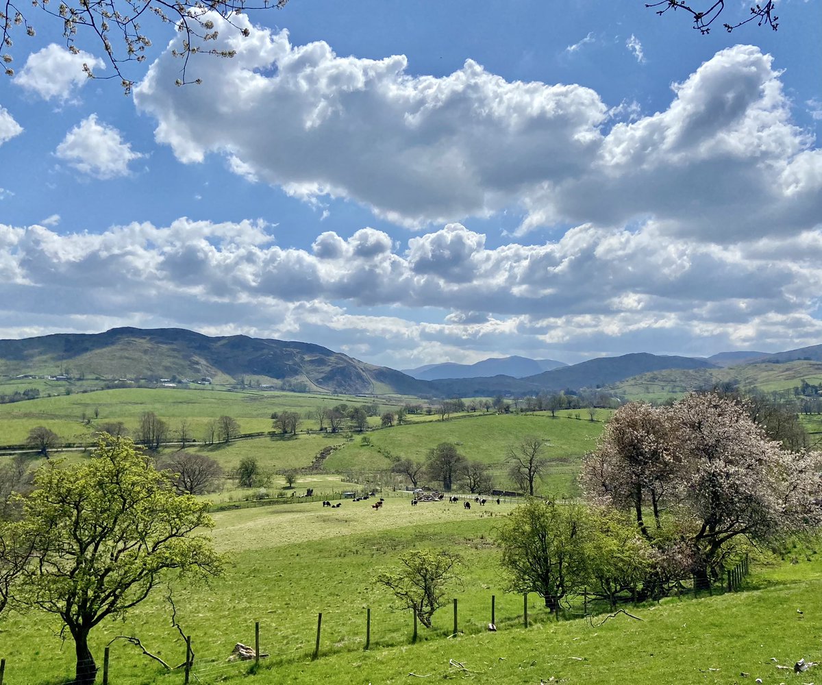 Matterdale looking glorious in the sunshine today. Walked nine miles which means I have hit my 100 mile target for @Sarcoma_UK #StepIntoSpring 🧡💜🧡
