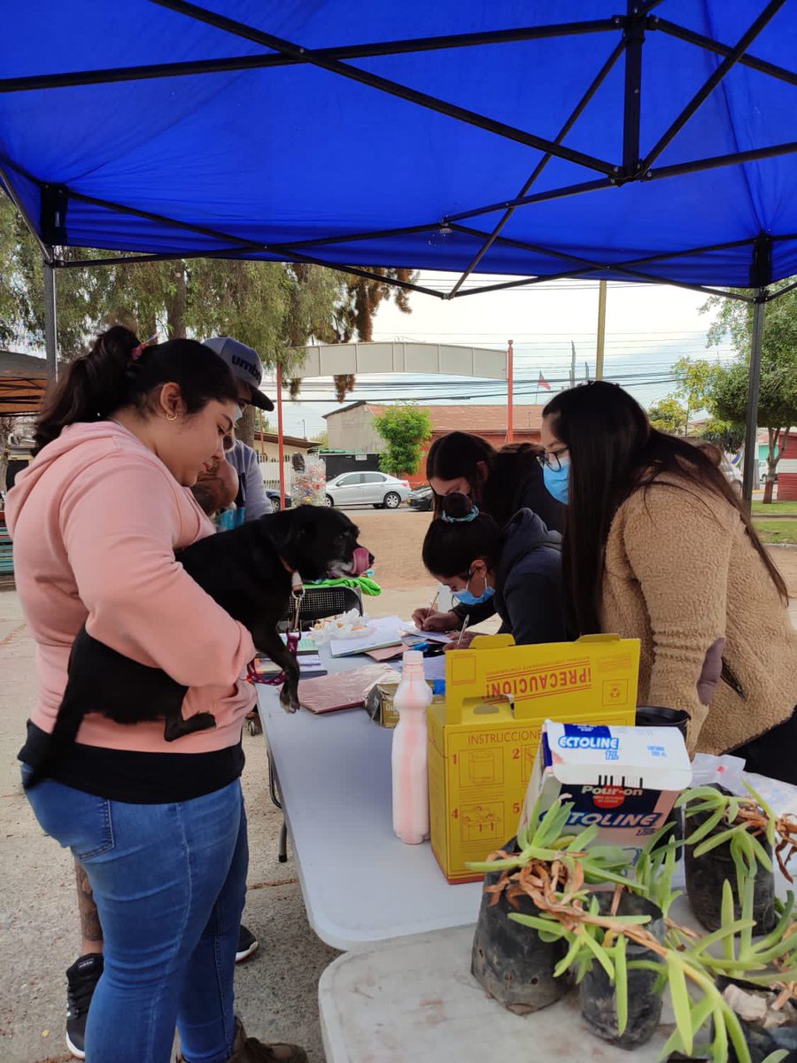 Rguasustentable's tweet photo. Feria de Servicio Anita Bueras en población Esperanza. Medio Ambiente y Veterinaria Municipal 🐶🐱🌳 #Rancagua #YoAdoptoEnRancagua tenemos varios servicios y sorpresas 😊 https://t.co/ctQvcmOrCY