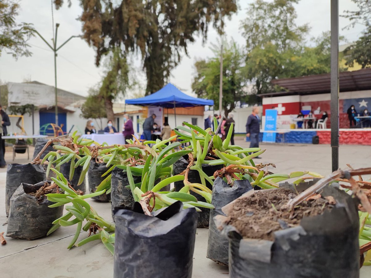 Rguasustentable's tweet photo. Feria de Servicio Anita Bueras en población Esperanza. Medio Ambiente y Veterinaria Municipal 🐶🐱🌳 #Rancagua #YoAdoptoEnRancagua tenemos varios servicios y sorpresas 😊 https://t.co/ctQvcmOrCY