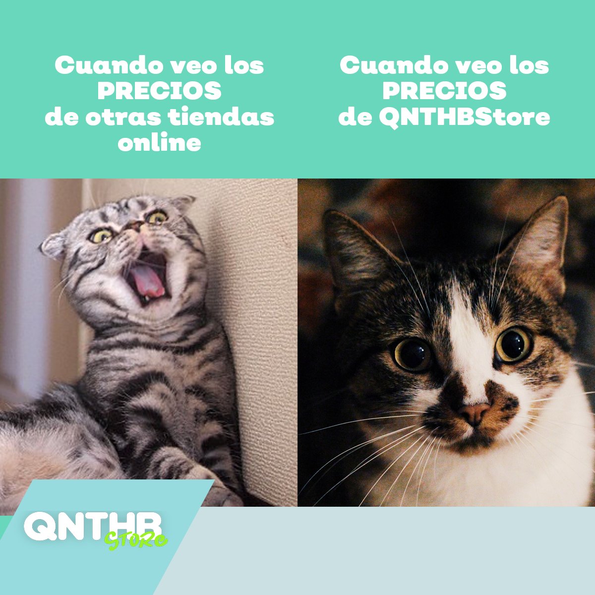qnthb_'s tweet photo. Los mejores productos a mejor precio solo en #QNTHBStore 🐾🐱❤✨
Síguenos en todas nuestras redes y descubre todo lo que tenemos para ti
QNTHBStore la nueva forma de comprar 

#productos #descuentos #cat https://t.co/OYmIHHwW10