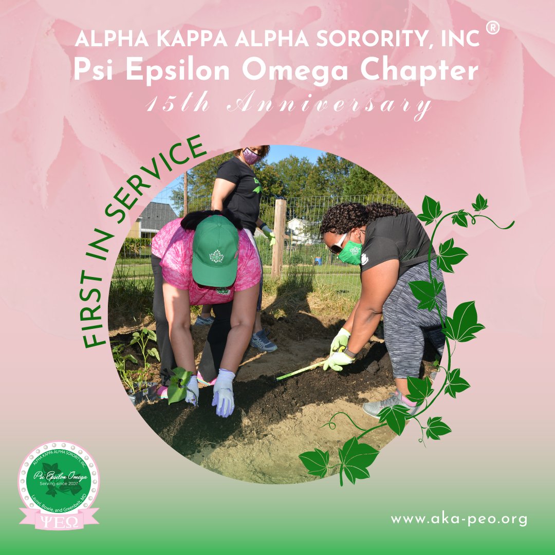 AKA_PEO1908's tweet photo. The members of @aka_peo1908 launched a potato gardening and harvesting project with the goal of making sure no family goes hungry.

#aka_peo1908 #peostrong #aka1908 #supremeinservice #communityservice #pinkandgreen #twentypearls #nar_1908 https://t.co/De17RSzVMe