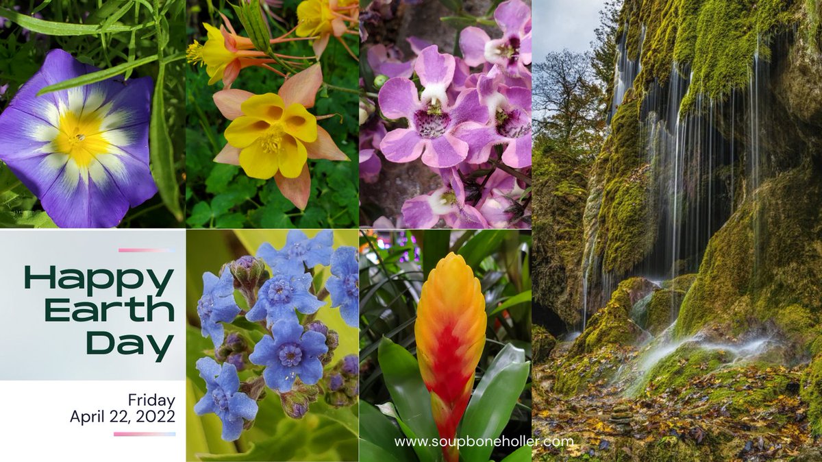 SB_Holler's tweet photo. A collage of nature's beauty in honor of Earth Day! https://t.co/HO5htn6mLg