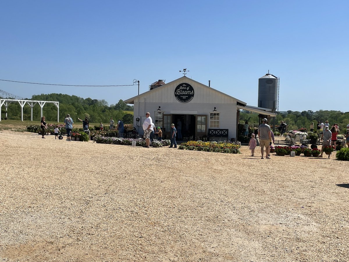 Enjoyed an adventure of checking out The Barm of Blooms in Ranburne, AL! Plants for the yard and an adventure for us! Win Win!