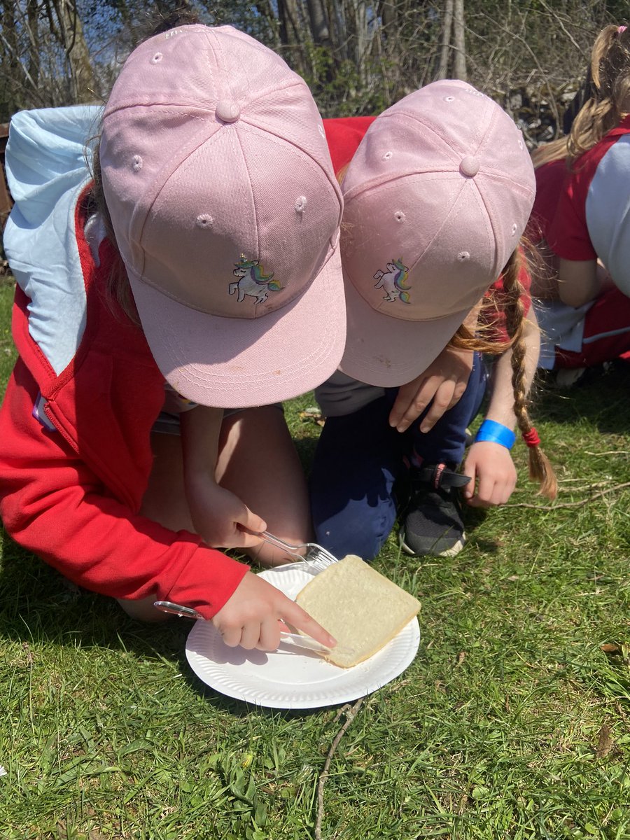 Garstang1st's tweet photo. Wow we have had an AMAZING day!!! So much fun at @SaplingSilver, thanks @GG_LancGarstDiv for organising we had great fun 🤩 #Campskills #somuchfun #enjoyyourself @garstanguiding https://t.co/207A5XuBxg