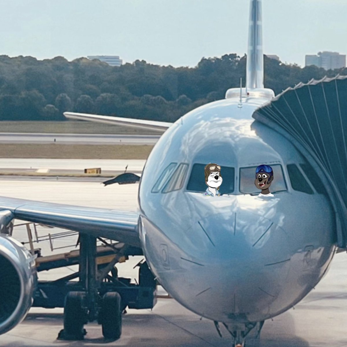 On way back from Spring Break in Florida.  Def in good hands with these pilots.  Going to make a pit stop to get our diamonds back!!! 💎💍💎 💪🏼💪🏼👊🏻#TribeQuokka #Crypto #NFTCommunity #VibeTribe @Dick_Doofus <a href="/TribeQuokka/">Tribe Quokka</a>