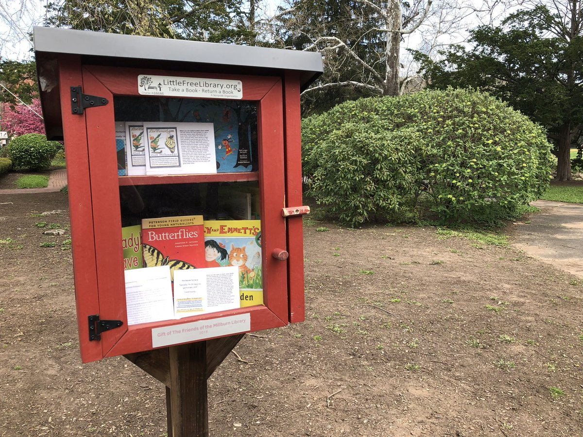 FriendsMillburn's tweet photo. Seeds, Glorious Native Seeds! Grab a packet from the Taylor Park Little Free Library &amp; plant them! 

#nativeplantsappreciationmonth
#friendsofmillburnlfl
#friendsofmillburnlibrary https://t.co/MAmuj3FHNa