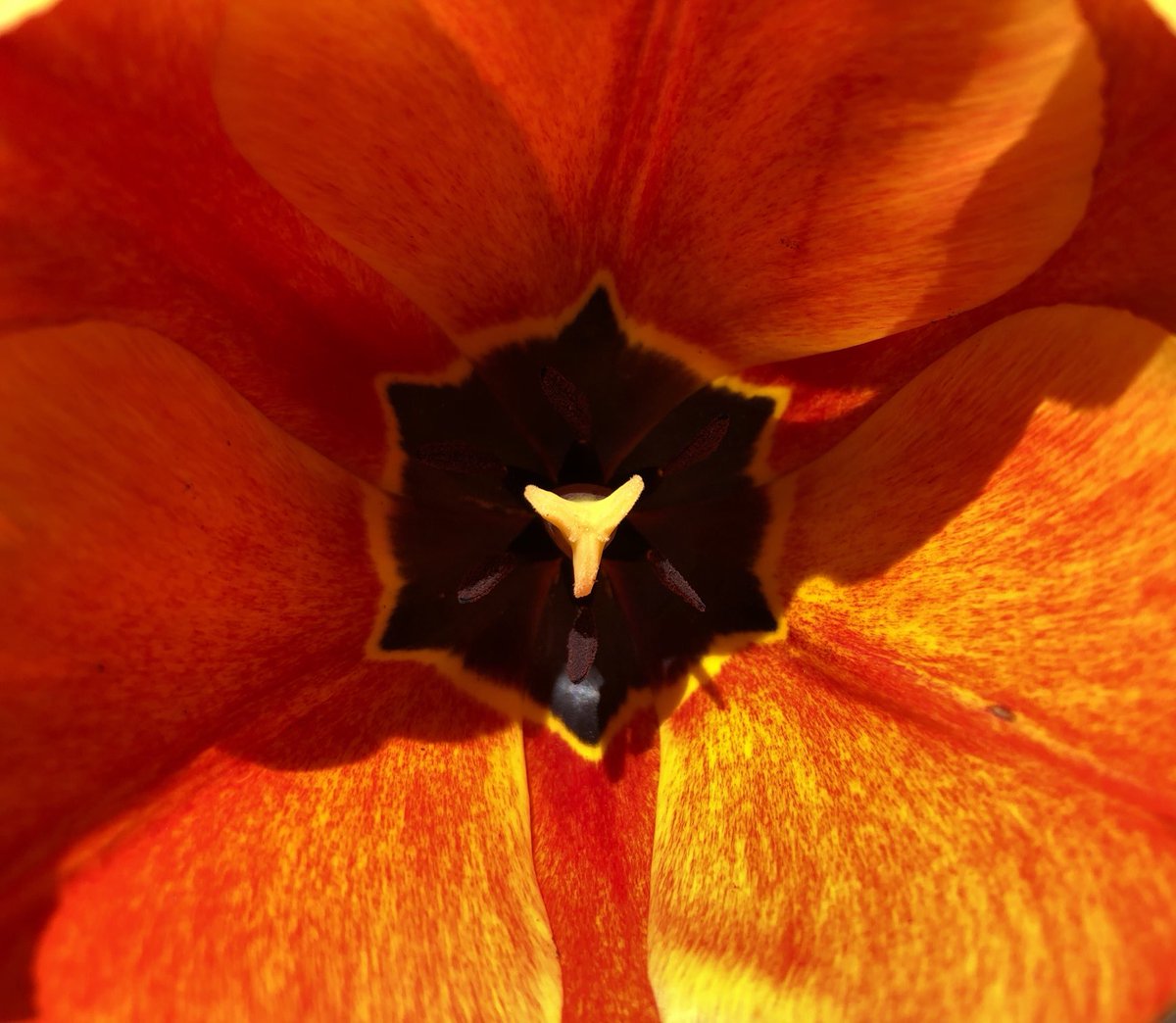 Stigma Saturday. #AprilTextureChallenge