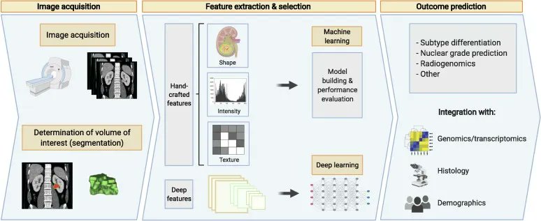 European Urology tweet media