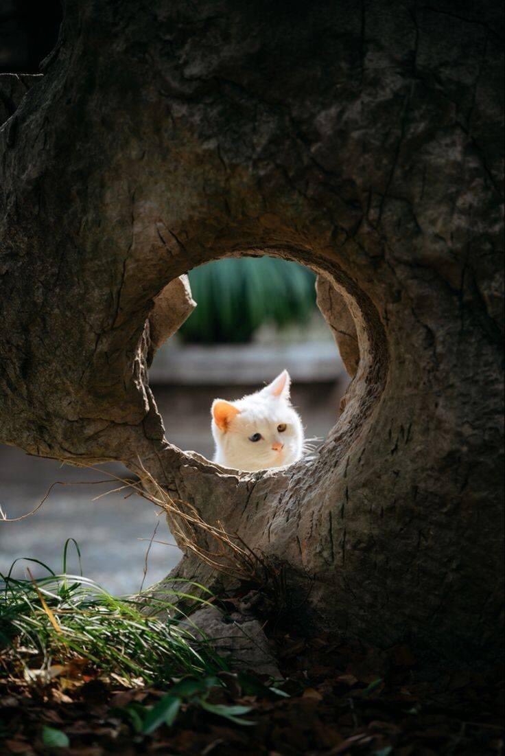 ______________\\\

Ben mükemmelliği vicdanda ararım....
Çünkü bilirim ki vicdanı eksik olan başkalarına zarar verir...!!!

#İyiakşamlar
#Sağlıkla_Huzurla 
#Dostça kalın 🍃🌺🍃🌼