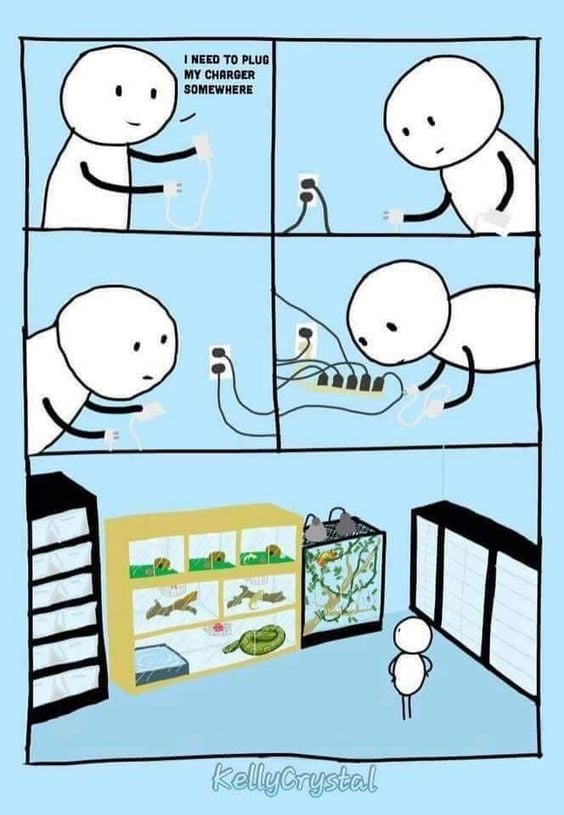 Backwater Reptiles tweet media