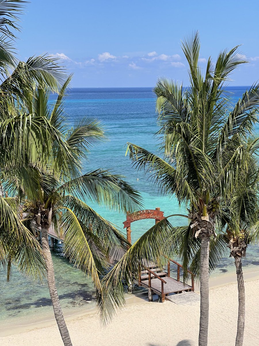 We’ll this week went fast, now we wait until Fall Break!