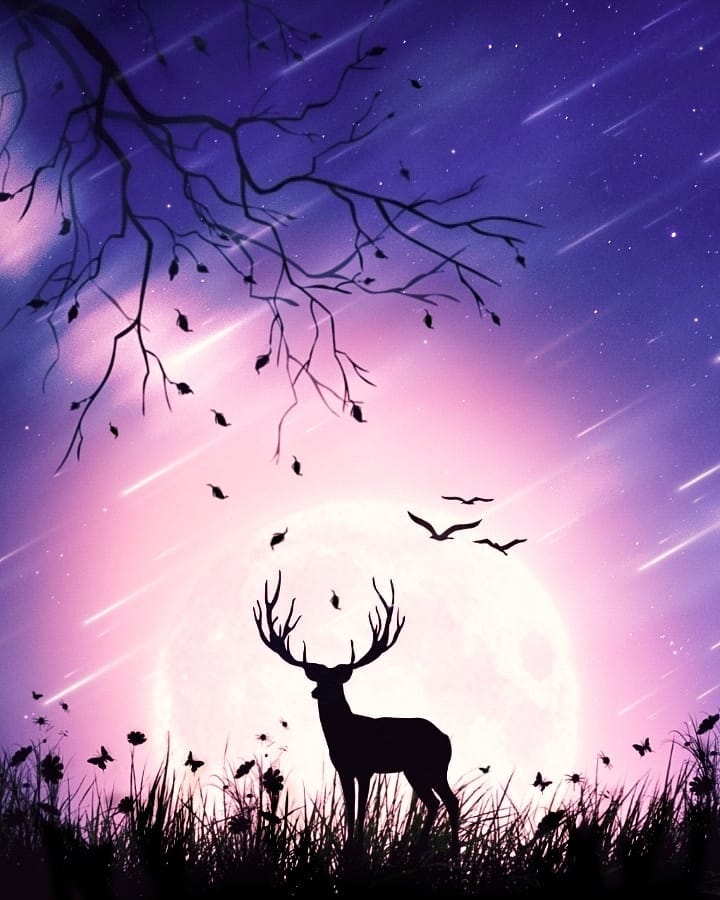 trc_editz's tweet photo. "The sky turned to a light, dusky purple littered with tiny silver stars ."

My submission for @NamasteyNFT Bengaluru

#NamasteyNFTblr #NamasteyNFTPhotoManipulation 

Insta Post Link : https://t.co/k7efsTvfal https://t.co/5XgeF2AWMh