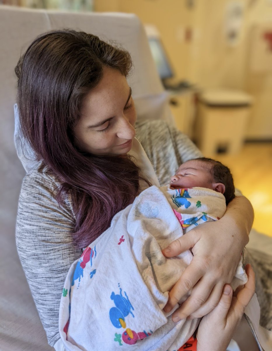 Jason Sheltzer tweet media