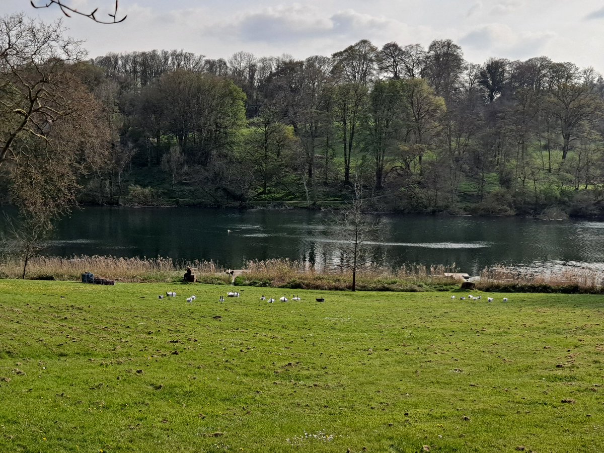 Pyrotastic Fireworks tweet media