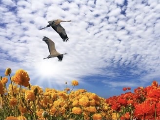 Cooper Nutrition tweet media