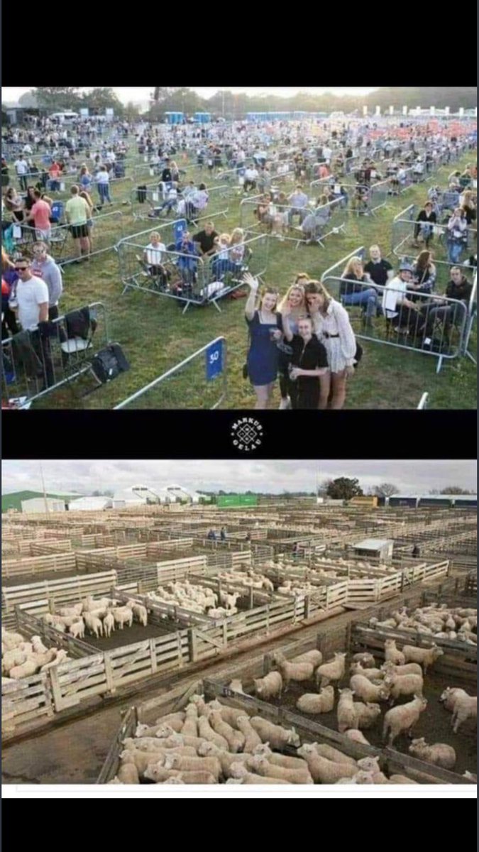 JessicaRabbithole. tweet media