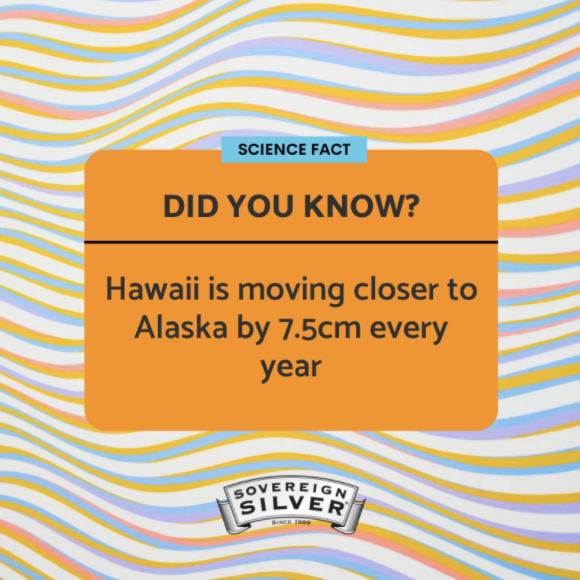 Hawaii sits in the middle of the Pacific Plate, which is slowly drifting north-west in the direction of Alaska!